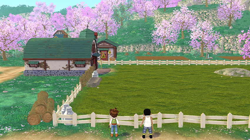 STORY OF SEASONS: A Wonderful Life